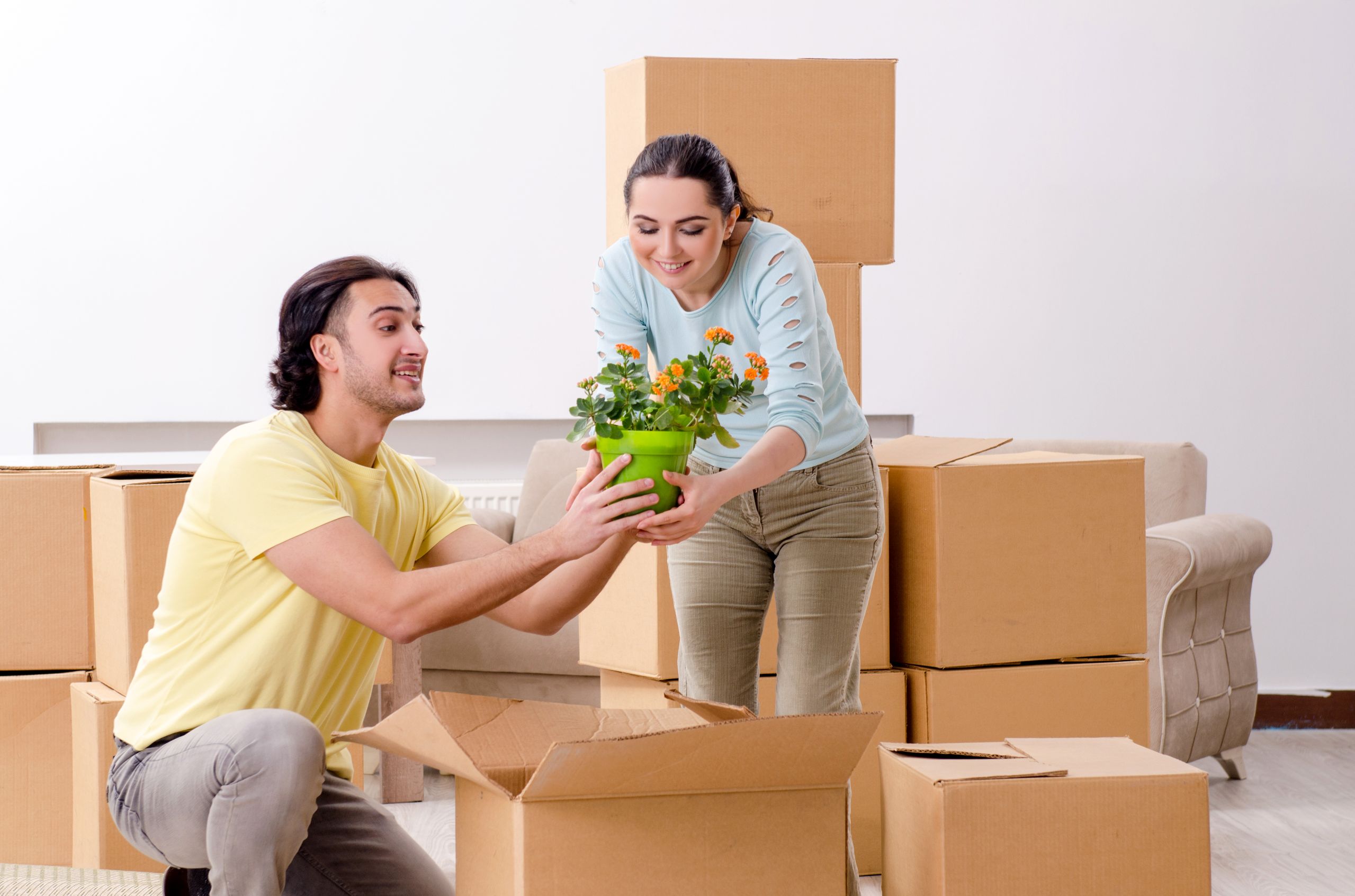 Orchid Movers And Packers Pune